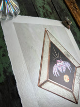 Load image into Gallery viewer, Angled photo to show metallic shine - Pink jumping spider on black background (diamond shape), with border of piece vintage book inclusions showing words and poppy illustration. On light white/grey iridescent background. 8x10" reproduction giclée print of Jumping Spider + Vintage Poppy floral encyclopedia pages, with a 1.25" deckled edge border.