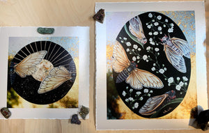 Comparison of two prints - Sun Moon cicada and Life Cycle cicada. Sun moon is smaller by comparison. Two cicadas painted within a circle shape. Cicadas are bisected down center and each is facing the opposite direction. Black background with gold paint showing sunburst on one half and stars on the second half. Gold background that reflects the mirror used the original artwork. 8x8" reproduction giclée print of Sun | Moon Cicada with a 1.25" deckled edge border