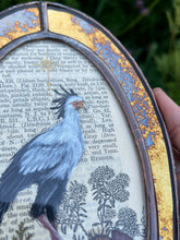Load image into Gallery viewer, Secretary Bird + Orange Hawkweed
