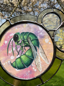 Close up of wasp - Jewel wasp (green and dark blue) on dyed light pink/yellow/purple paper as central piece in large left circle. Two more circles on right side. Second smallest encases pressed Wild carrot in clear glass. Smallest circle is above Wild carrot with textured iridescent glass. Entire piece has light yellow border.