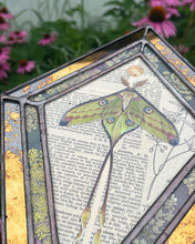 Load image into Gallery viewer, Comet Moth + Wild Carrot
