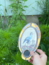 Load image into Gallery viewer, Secretary Bird + Orange Hawkweed
