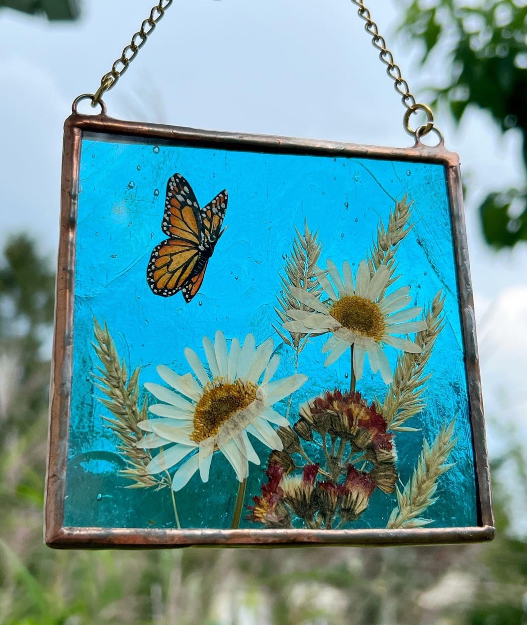 Monarch butterfly painted in gouache on paper with pressed shasta daisies, orange hawkweed, and wild grasses with transparent blue glass backing. Square shape with gold hanging chain.