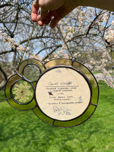 Load image into Gallery viewer, Backside of piece showing artist signature, title, date, medium used - Jewel wasp (green and dark blue) on dyed light pink/yellow/purple paper as central piece in large left circle. Two more circles on right side. Second smallest encases pressed Wild carrot in clear glass. Smallest circle is above Wild carrot with textured iridescent glass. Entire piece has light yellow border.
