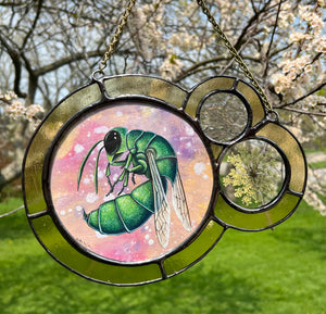 Jewel wasp (green and dark blue) on dyed light pink/yellow/purple paper as central piece in large left circle. Two more circles on right side. Second smallest encases pressed Wild carrot in clear glass. Smallest circle is above Wild carrot with textured iridescent glass. Entire piece has light yellow border.