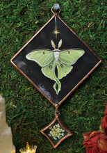 Load image into Gallery viewer, Large Luna Ornament - Black
