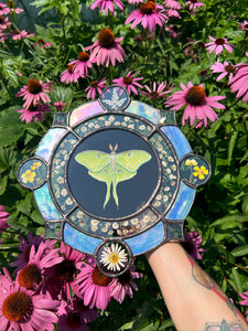 Full view in artists hand with purple coneflower backdrop . Gouache on paper, and flora set between glass with iridescent glass border in cool tones and bevels. Medallion shape with three rungs - center is painted green Luna moth on black background (circle shape), second ring is segmented circle of pressed gypsophila in clear glass, third and outer ring consists of alternating blue iridescent glass, circles with pressed flowers, and diamond bevels.