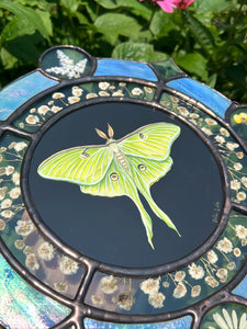 Close up of center and gypsophila middle - Gouache on paper, and flora set between glass with iridescent glass border in cool tones and bevels. Medallion shape with three rungs - center is painted green Luna moth on black background (circle shape), second ring is segmented circle of pressed gypsophila in clear glass, third and outer ring consists of alternating blue iridescent glass, circles with pressed flowers, and diamond bevels.