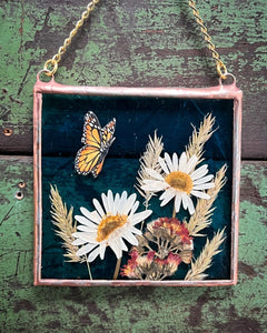 Alternate view to show glass backing against dark background. Monarch butterfly painted in gouache on paper with pressed shasta daisies, orange hawkweed, and wild grasses with transparent blue glass backing. Square shape with gold hanging chain.