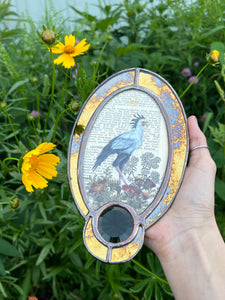 Secretary Bird + Orange Hawkweed