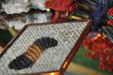 Load image into Gallery viewer, Wooly Bear Ornament
