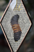 Load image into Gallery viewer, Wooly Bear Ornament
