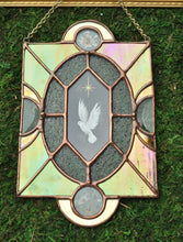 Load image into Gallery viewer, Observation, appearance
