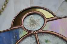 Load image into Gallery viewer, Observation, appearance
