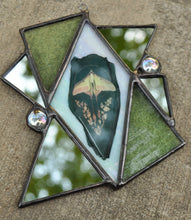 Load image into Gallery viewer, Chinese Moon Moth - Mini Mirror
