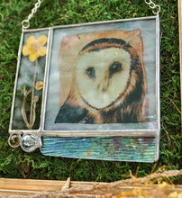 Load image into Gallery viewer, Barn Owl + Buttercup
