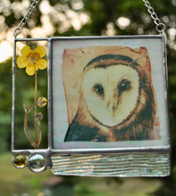 Load image into Gallery viewer, Barn Owl + Buttercup
