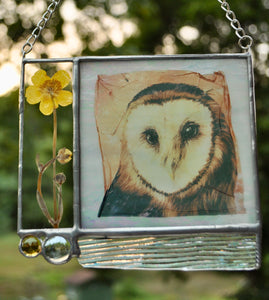 Barn Owl + Buttercup
