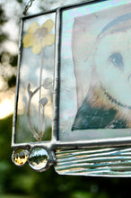 Load image into Gallery viewer, Barn Owl + Buttercup
