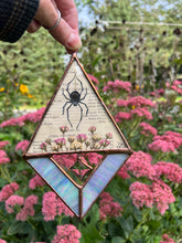 Load image into Gallery viewer, Sol Spider
