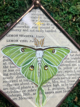 Load image into Gallery viewer, Large Luna Ornament - Vtg. Paper
