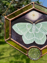 Load image into Gallery viewer, Emerald Moth
