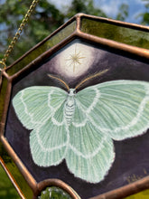 Load image into Gallery viewer, Emerald Moth
