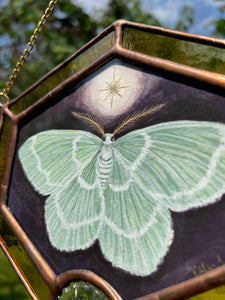 Emerald Moth