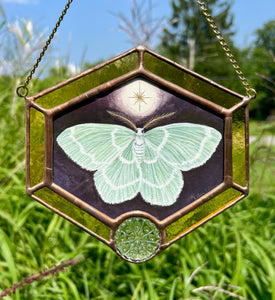 Emerald Moth
