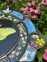 Load image into Gallery viewer, Close up of right side, shows lavender at top circle, buttercup flower in right circle. Gouache on paper, and flora set between glass with iridescent glass border in cool tones and bevels. Medallion shape with three rungs - center is painted green Luna moth on black background (circle shape), second ring is segmented circle of pressed gypsophila in clear glass, third and outer ring consists of alternating blue iridescent glass, circles with pressed flowers, and diamond bevels.

