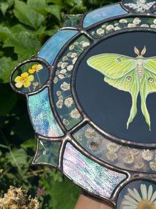 Shows left side, lavender at top circle, buttercup in left circle. Gouache on paper, and flora set between glass with iridescent glass border in cool tones and bevels. Medallion shape with three rungs - center is painted green Luna moth on black background (circle shape), second ring is segmented circle of pressed gypsophila in clear glass, third and outer ring consists of alternating blue iridescent glass, circles with pressed flowers, and diamond bevels.