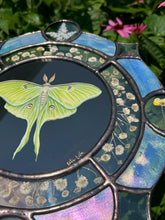 Load image into Gallery viewer, Another close up showing inner part of piece - Gouache on paper, and flora set between glass with iridescent glass border in cool tones and bevels. Medallion shape with three rungs - center is painted green Luna moth on black background (circle shape), second ring is segmented circle of pressed gypsophila in clear glass, third and outer ring consists of alternating blue iridescent glass, circles with pressed flowers, and diamond bevels.
