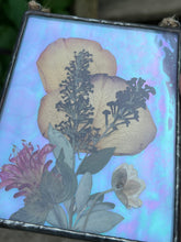 Load image into Gallery viewer, Alternate view to show iridescence- Pressed rose petals, butterfly bush, bee balm, and Japanese anemone bud with iridescent blue/pink/purple glass backing. Rectangle shape with hanging twine at top.
