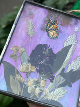 Load image into Gallery viewer, Close up view of iridescence- Painted monarch butterfly in gouache on paper with pressed butterfly bush flower, aster, and wild grasses with iridescent wispy pink glass backing. Rectangle shape with twine hanging.
