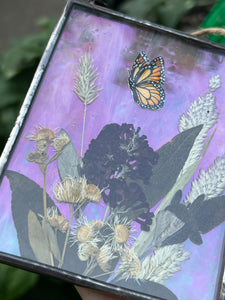 Close up view of iridescence- Painted monarch butterfly in gouache on paper with pressed butterfly bush flower, aster, and wild grasses with iridescent wispy pink glass backing. Rectangle shape with twine hanging.