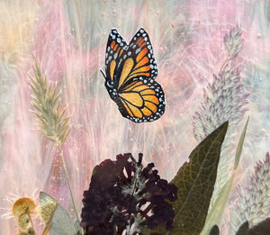 Close up on painted monarch - Painted monarch butterfly in gouache on paper with pressed butterfly bush flower, aster, and wild grasses with iridescent wispy pink glass backing. Rectangle shape with twine hanging.