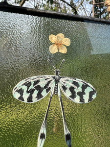 Close up - Painted blue spoon-winged antlion in gouache on paper with pressed plum tree flower and “111”(intuition) cut from vintage textbook with clear textured glass backing. Vertical rectangle shaped artwork with twine hanging.