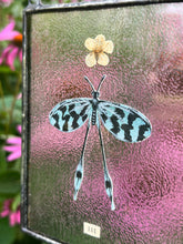 Load image into Gallery viewer, Close up with pink backdrop - Painted blue spoon-winged antlion in gouache on paper with pressed plum tree flower and “111”(intuition) cut from vintage textbook with clear textured glass backing. Vertical rectangle shaped artwork with twine hanging.
