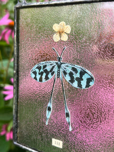 Close up with pink backdrop - Painted blue spoon-winged antlion in gouache on paper with pressed plum tree flower and “111”(intuition) cut from vintage textbook with clear textured glass backing. Vertical rectangle shaped artwork with twine hanging.