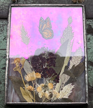 Load image into Gallery viewer, Image shows both iridescence and pink glass in low light. Painted monarch butterfly in gouache on paper with pressed butterfly bush flower, aster, and wild grasses with iridescent wispy pink glass backing. Rectangle shape with twine hanging.
