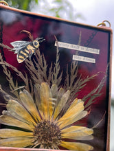 Load image into Gallery viewer, View of piece with sun as backdrop to show maroon color. Honeybee painted in gouache on paper with wildflower grasses and  yellow flower with dark purple/maroon glass backing. Artwork is square shape with chain hanging.
