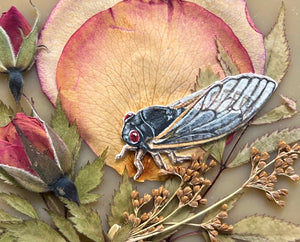 Close up of painted cicada - Cicada painted in gouache on paper with pressed rose petals, red rosebuds, and wild grasses with solid almond glass backing. Square shape with gold hanging chain.