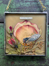 Load image into Gallery viewer, Alternate full view in lower lighting. Cicada painted in gouache on paper with pressed rose petals, red rosebuds, and wild grasses with solid almond glass backing. Square shape with gold hanging chain.
