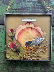Alternate full view in lower lighting. Cicada painted in gouache on paper with pressed rose petals, red rosebuds, and wild grasses with solid almond glass backing. Square shape with gold hanging chain.