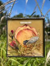 Load image into Gallery viewer, Cicada painted in gouache on paper with pressed rose petals, red rosebuds, and wild grasses with solid almond glass backing. Square shape with gold hanging chain.
