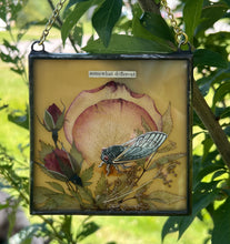 Load image into Gallery viewer, Alternate full view with some backlighting and shadow. Cicada painted in gouache on paper with pressed rose petals, red rosebuds, and wild grasses with solid almond glass backing. Square shape with gold hanging chain.
