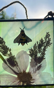 Alternate view of artwork against sun backdrop to show glass coloring - Honeybee painted in gouache on paper with wildflower grasses and  purple/pink cosmos flower with blue/green glass backing. Square shape with twine hanging.