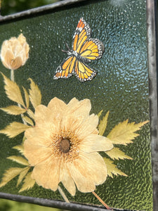 Close up of painted monarch. Monarch butterfly painted in gouache on paper with pressed Japanese anemone with textured clear glass backing Square shaped artwork with gold hanging chain.