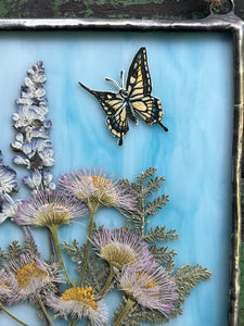 Secondary close up showing painted swallowtail. Swallowtail butterfly painted in gouache on paper with light pink aster, lavender, and silver lace fern with light wispy blue glass backing. Square shaped artwork with twine hanging.