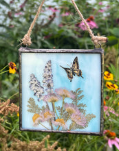 Load image into Gallery viewer, Alternate view showing more of blue background color. Swallowtail butterfly painted in gouache on paper with light pink aster, lavender, and silver lace fern with light wispy blue glass backing. Square shaped artwork with twine hanging.
